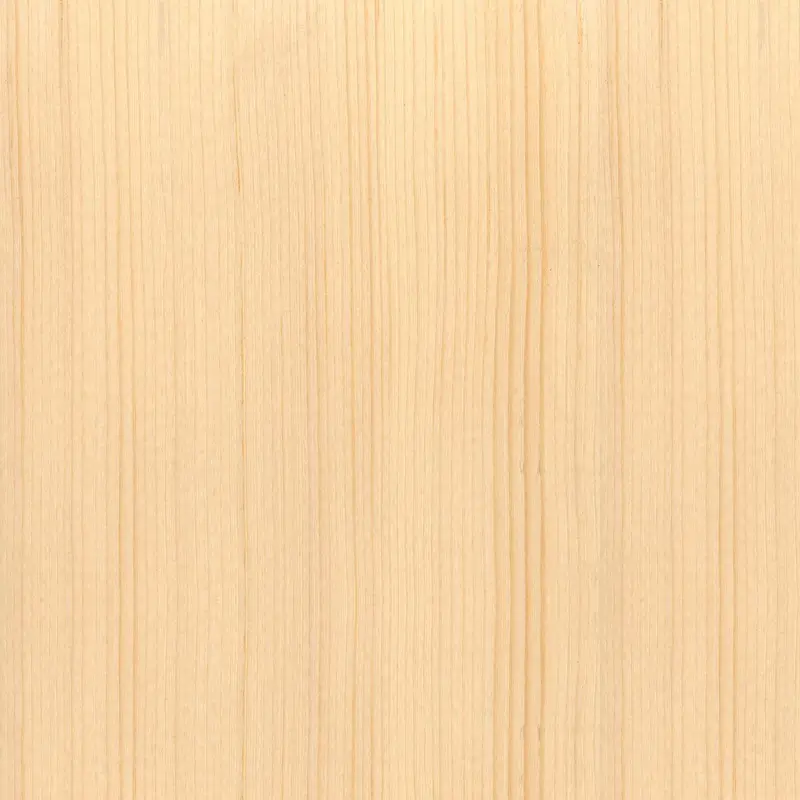 textura da arvore abeto ou picea abies