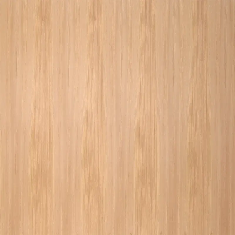 textura da arvore cedro ou thuja plicata