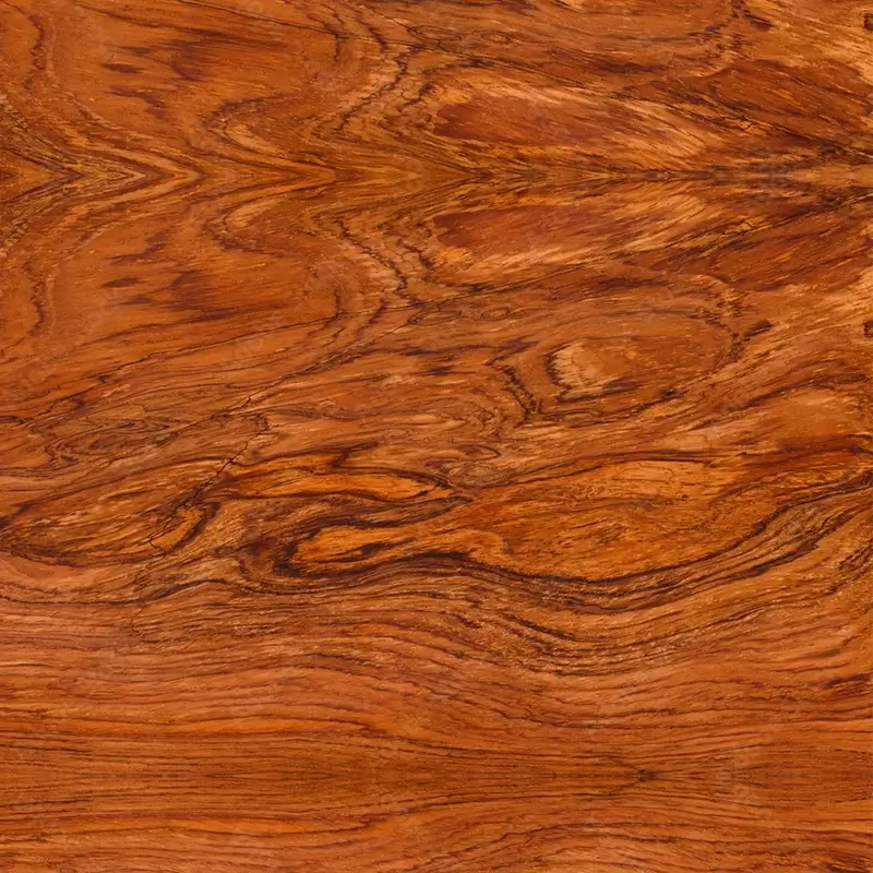 textura da arvore jacaranda baiano ou dalbergia nigra