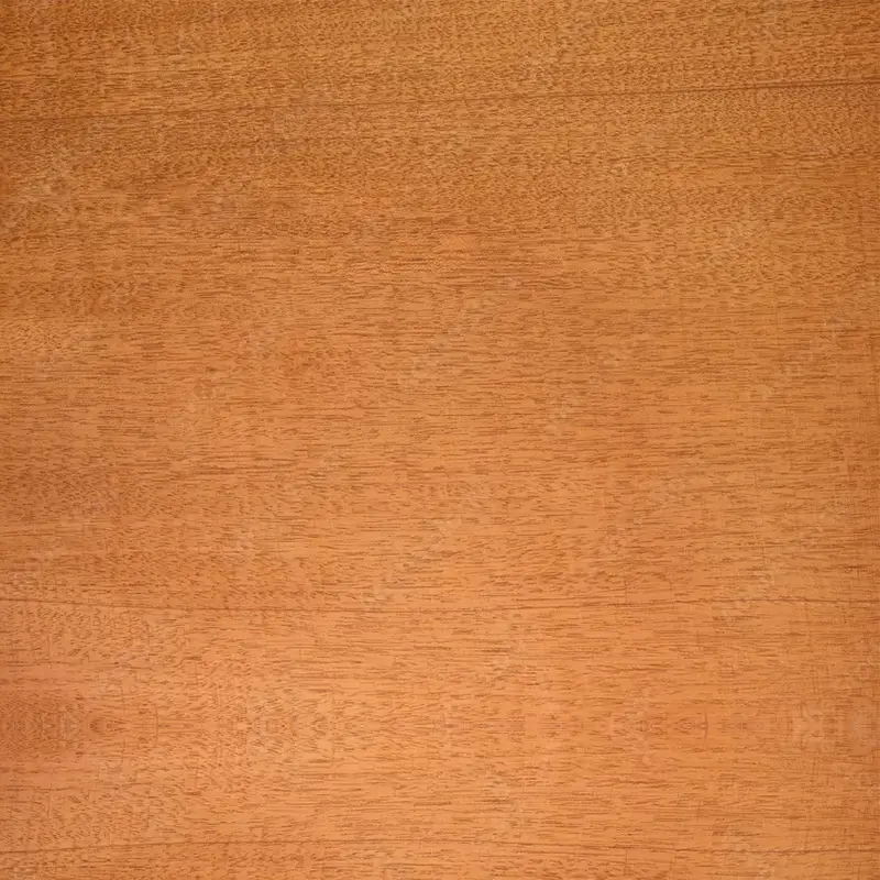 textura da arvore mogno mahogany ou swietenia macrophylla