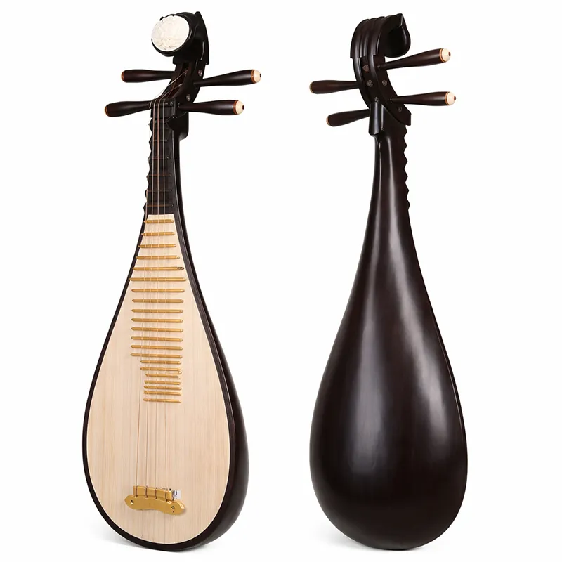 instrumento cordofone pipa chines