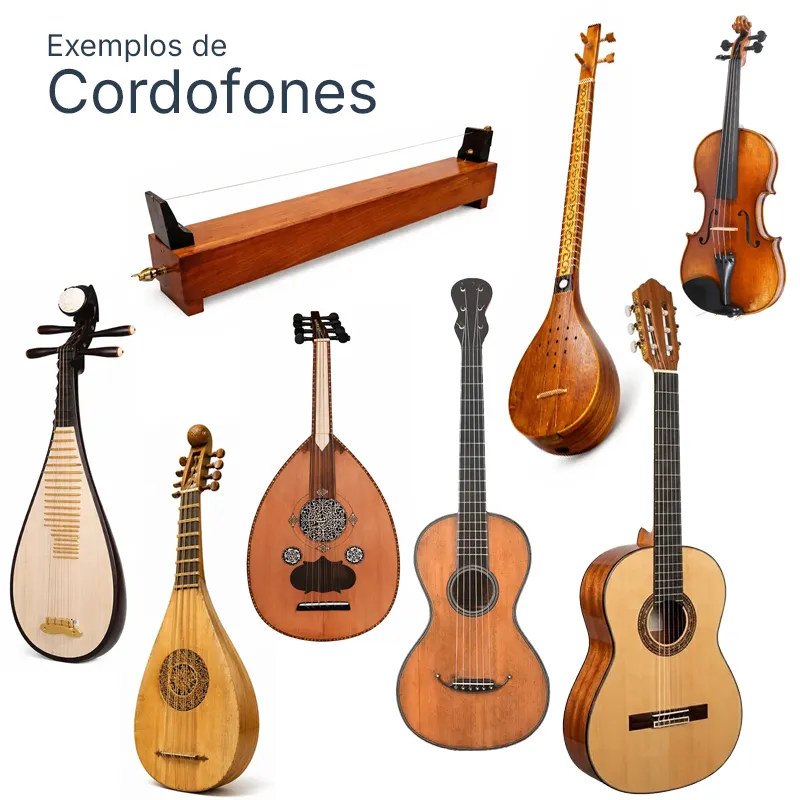 alguns exemplos de instrumentos cordofones