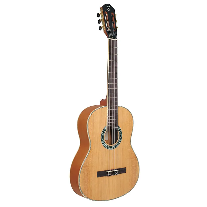 Violão Tagima Paraty da série Alpha